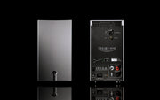 Trilogy 995R Mono Power Amplifier, rear panel