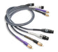 Analysis Plus Solo Crystal Oval Interconnect Cables - Alma Music and Audio - Alma Music and Audio - 