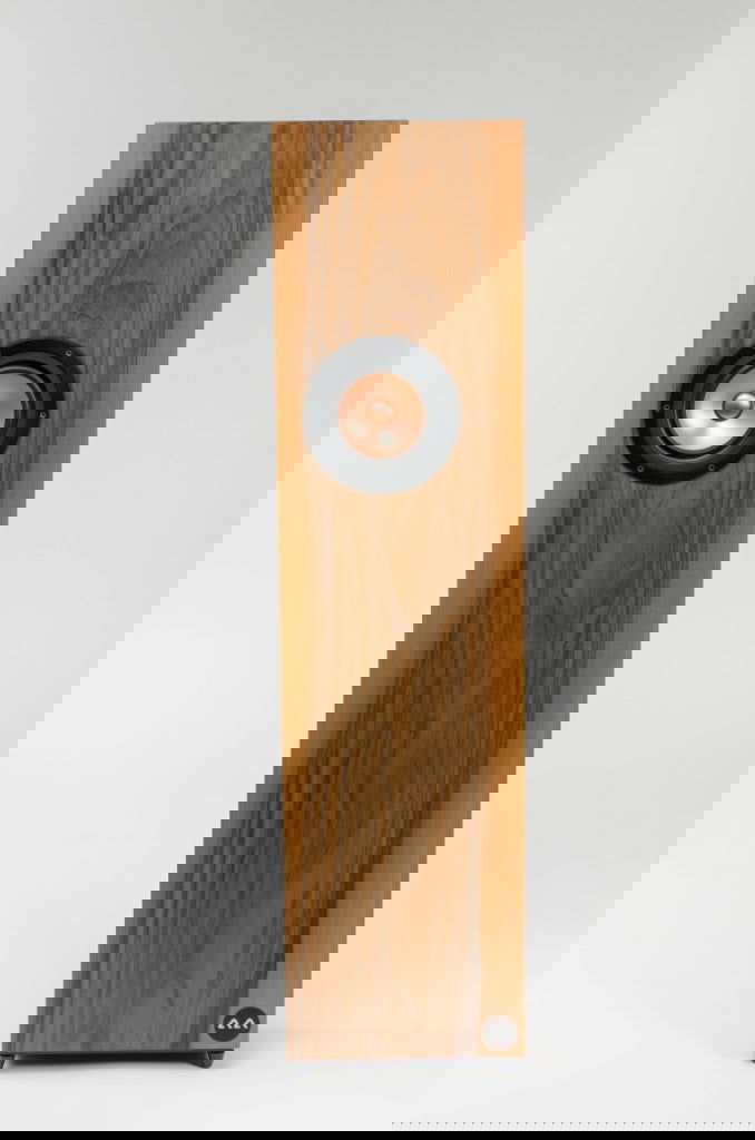 Audio Alto AA R101FR Floorstanding Single-Driver Loudspeaker - Alma Music and Audio - Alma Music and Audio - 