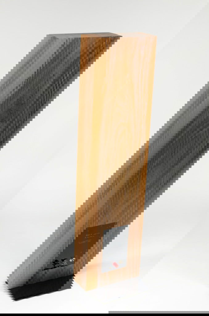 Audio Alto AA R101FR Floorstanding Single-Driver Loudspeaker - Alma Music and Audio - Alma Music and Audio - 