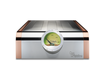 Dan D'Agostino Momentum M400 MxV Monoblock Amplifier - Alma Music and Audio - Alma Music and Audio - 