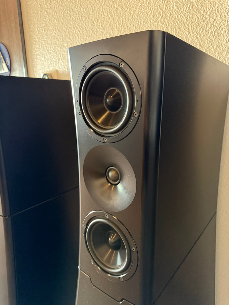 YG Acoustics Sonja 3.2 Loudspeakers [Demo]