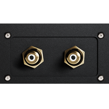 Innuos Performance DAC output module (optional)
