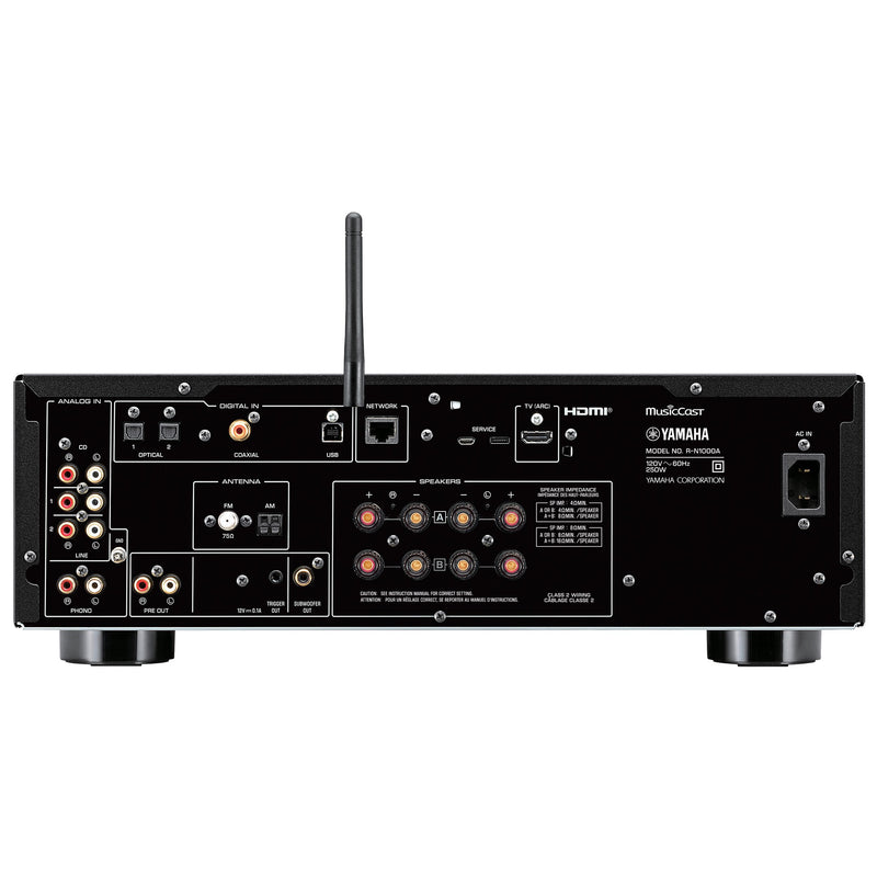 Yamaha R-N1000A rear panel showing all inputs and outputs