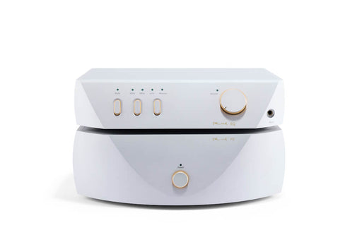 Reed EQ in Seashell White — chassis detail