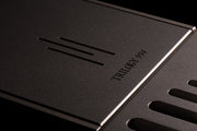 Trilogy 994 Mono Power Amplifier, nameplate