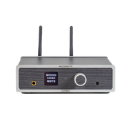 Lindemann Woodnote COMBO streaming amplifier, front