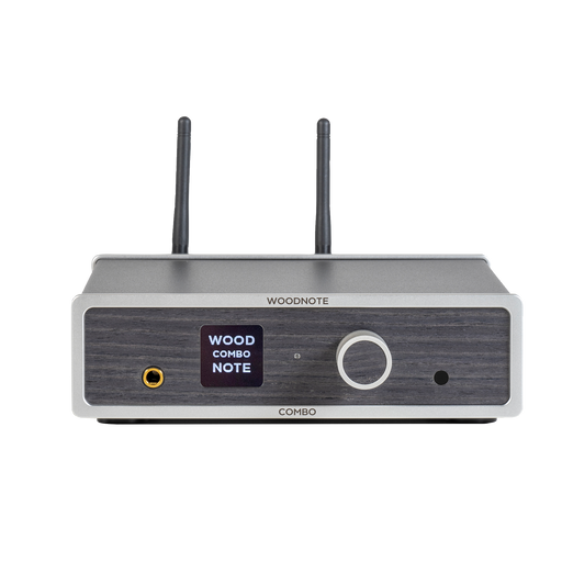 Lindemann Woodnote COMBO streaming amplifier, front