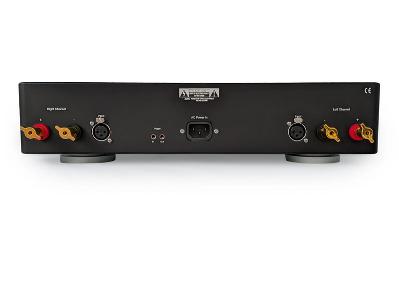 Bricasti M18 dual mono power amplifier, rear panel with balanced XLR inputs and speaker terminals