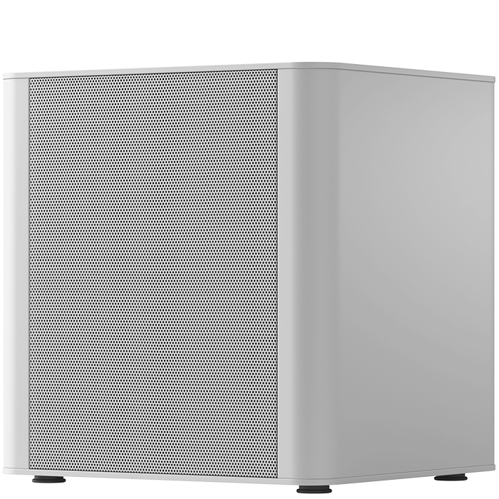 Piega PS101 Subwoofer