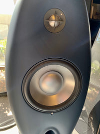 Vivid Audio Oval v1.5SE [Previously Owned] - Alma Music and Audio - San Diego, California